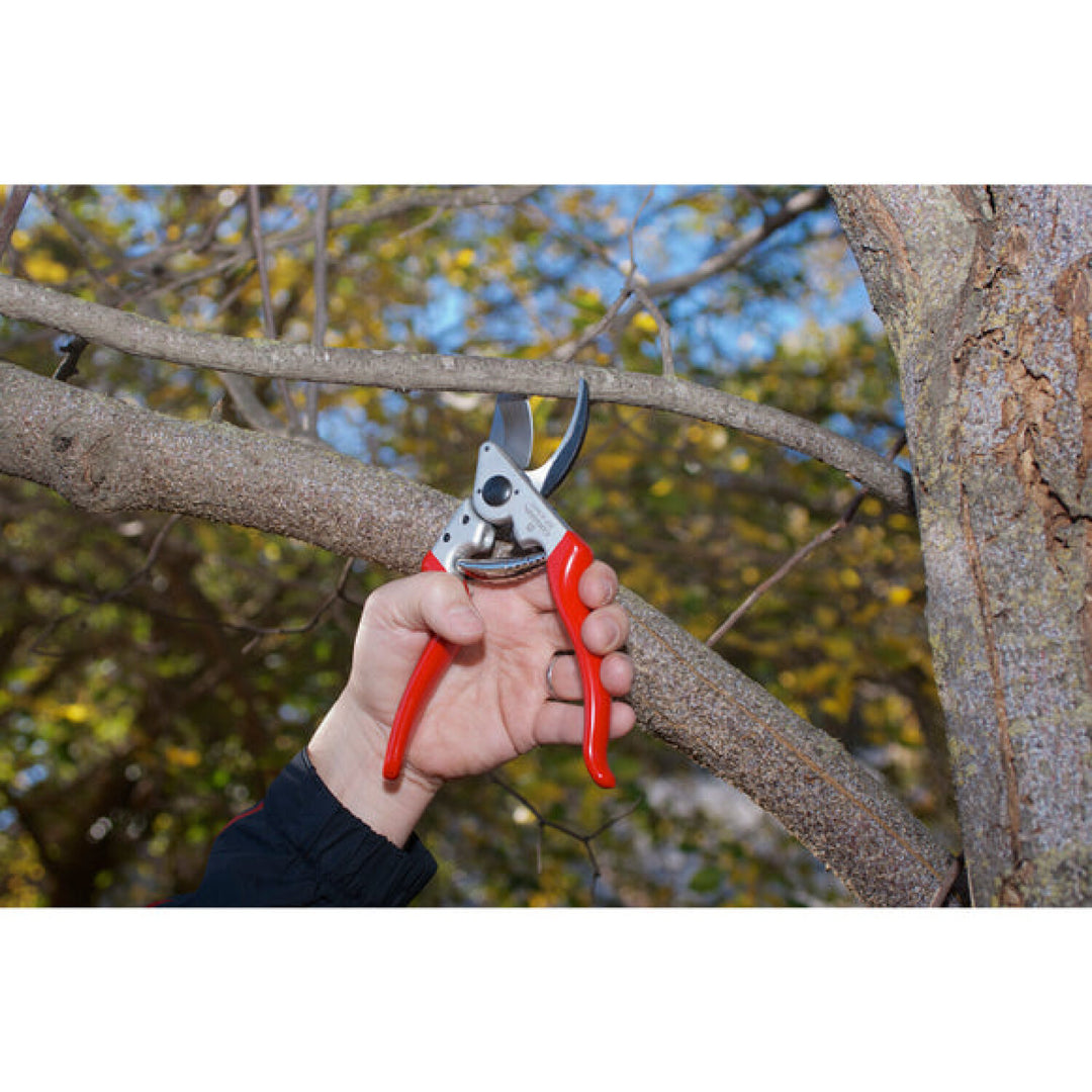 Corona BP 6360  ALUMINUM Bypass Pruner - 1 Inch, Angled, Right-Handed