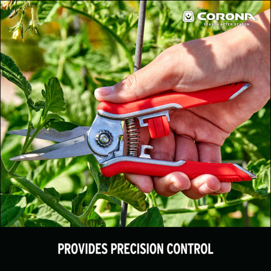 CRNA-FS43624 · Mini Floral Snips