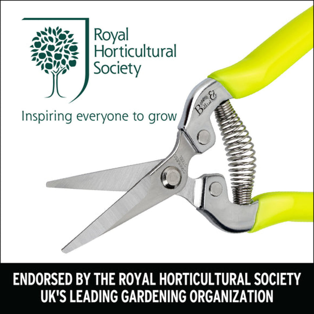 Corona GFB/FSYELL RHS® Florabrite Flower & Harvesting Snip Neon Yellow