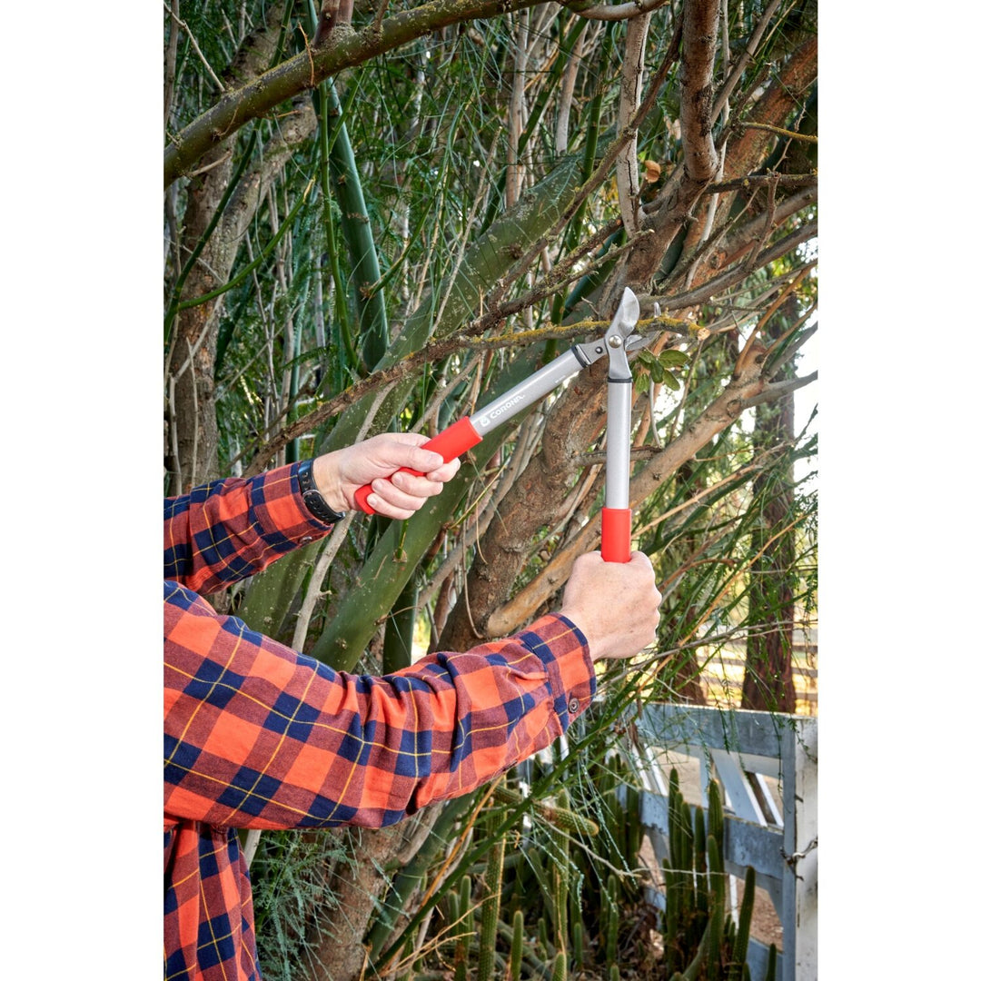 Corona BP 3225D Classiccut Two-Handed Pruner - 3/4 Inch