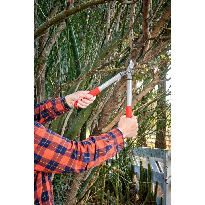 Corona BP 3225D Classiccut Two-Handed Pruner - 3/4 Inch