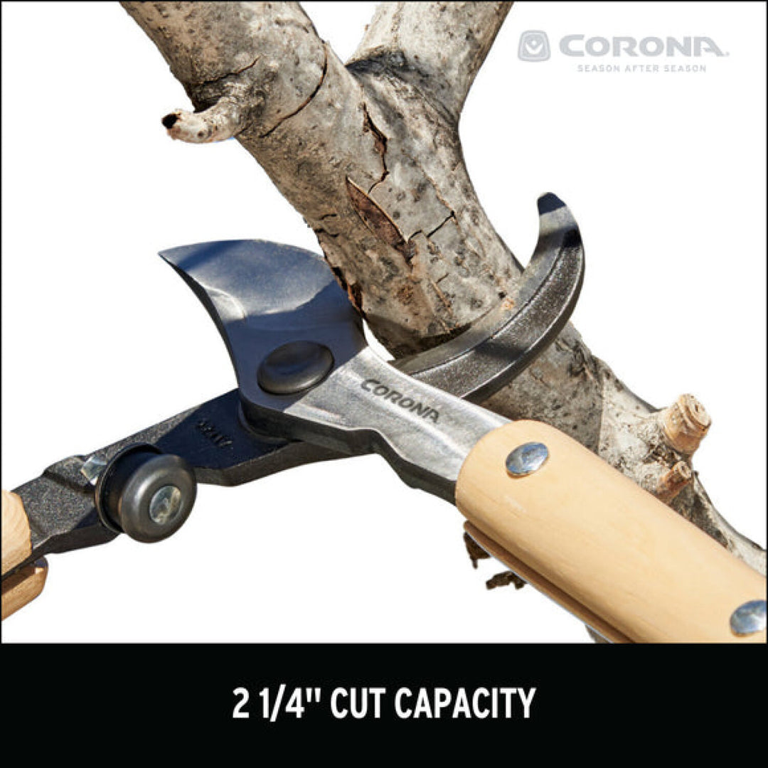 Corona-WL 6470 · ClassicCUT® Bypass Lopper - 36 Inch