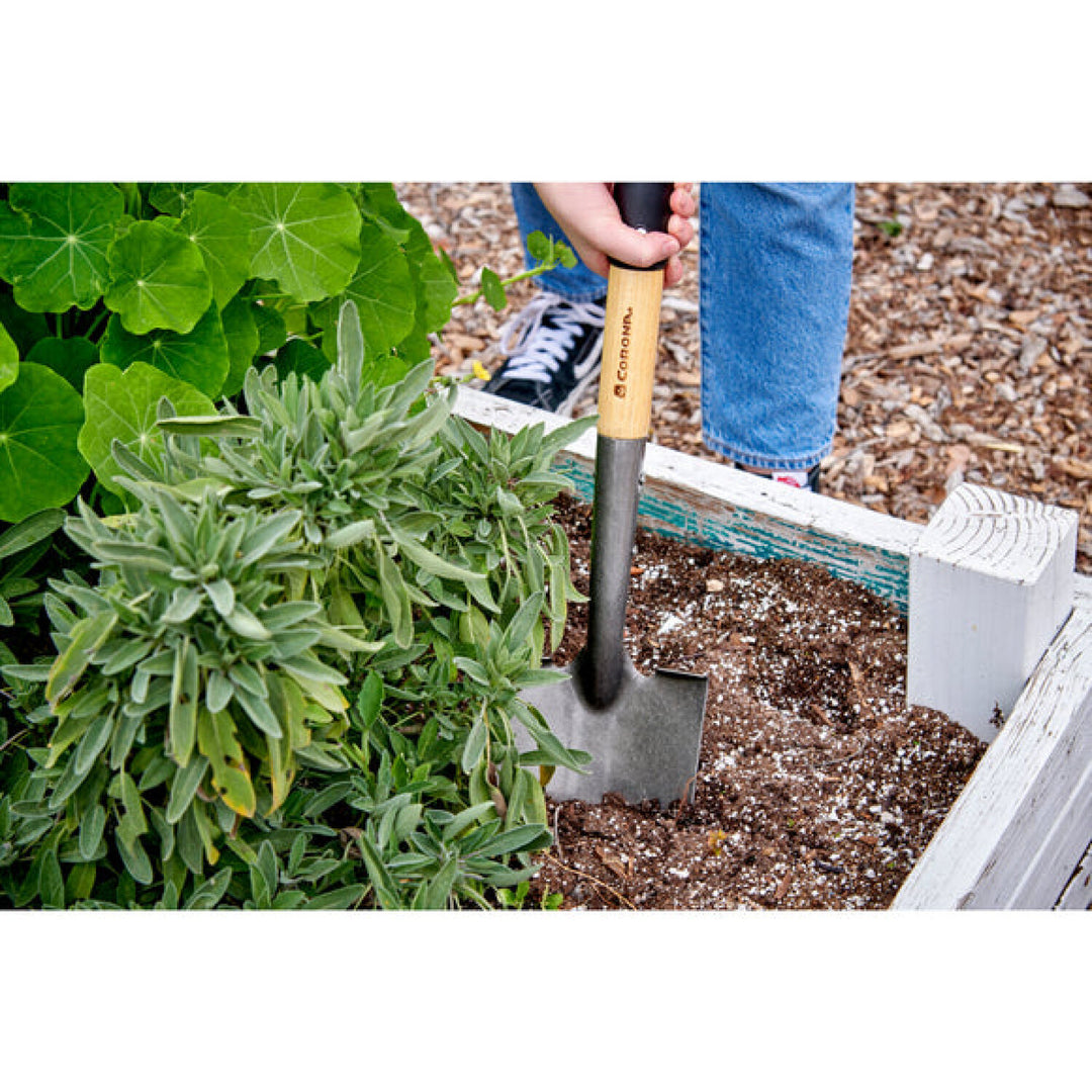 Corona-SL15167 · ClassicCUT® Bypass Lopper - 31 Inch