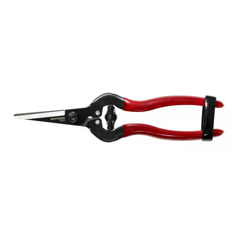 Snips