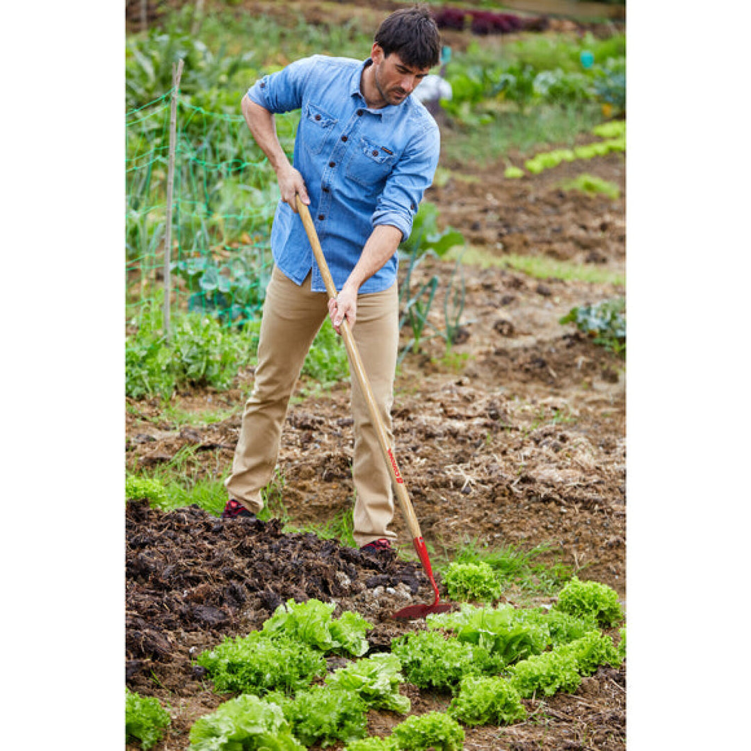 CRNA-SH 20000 · Garden Hoe - 6 Inch
