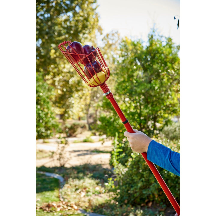 Corona FP 2312 Extendable Fruit Picker, 12 ft.