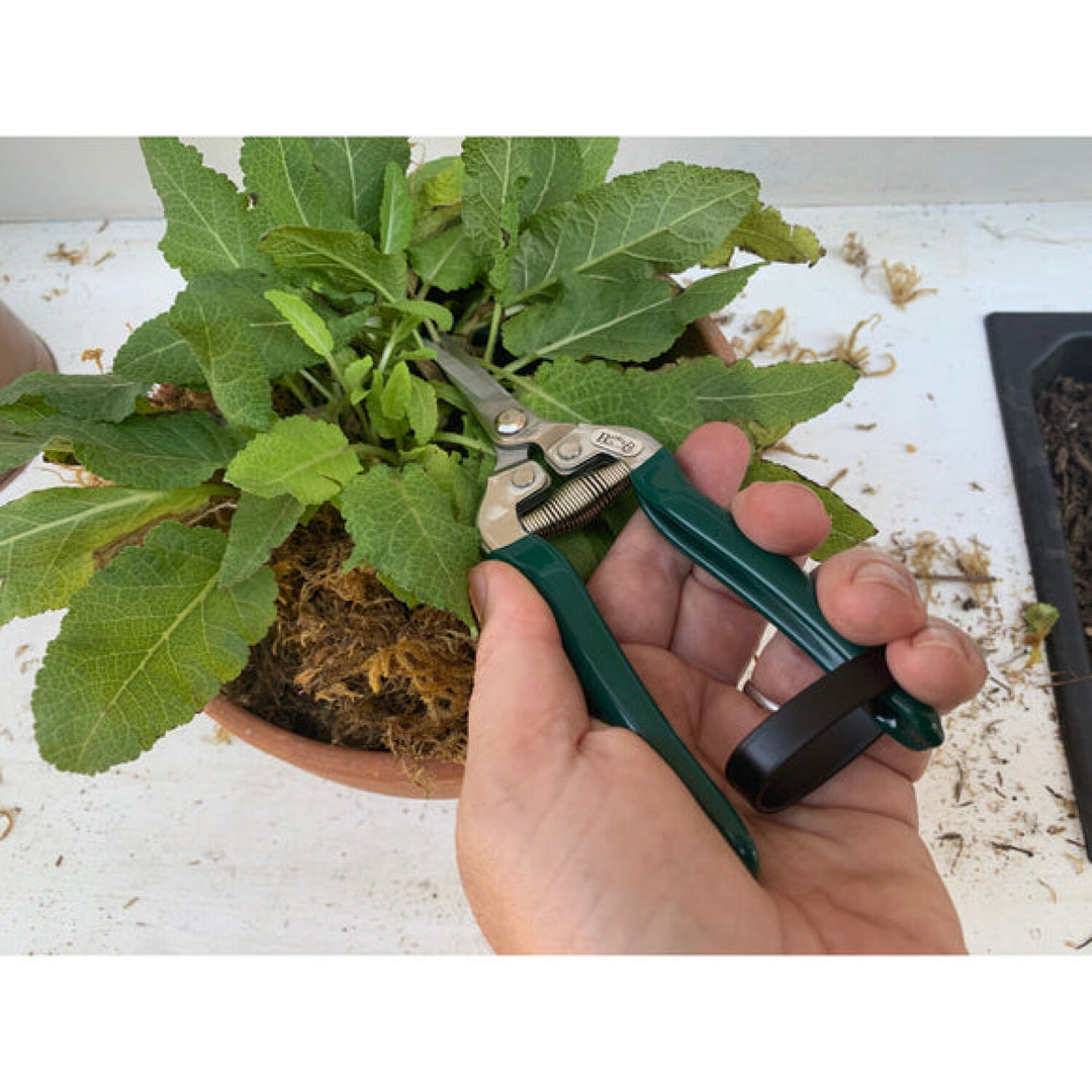 Corona GTO/FFS  RHS® Flower & Fruit Snip