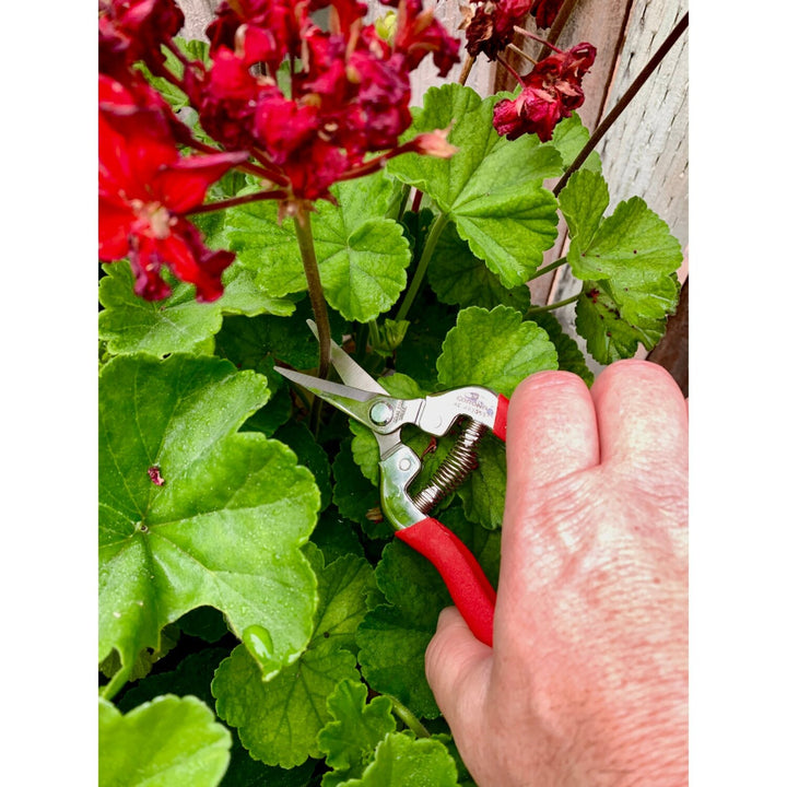 CORONA-AG 4930SS · Long Straight Snips - Stainless Steel, 1¾ Inch