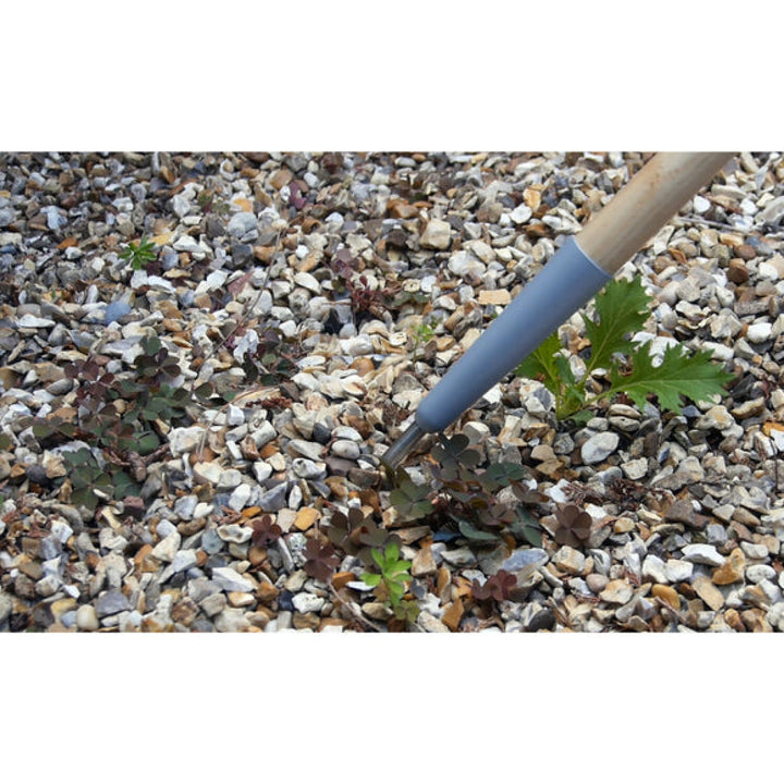 Corona-GTC/SLICE · Burgon & Ball® FSC Wood Weed Slice