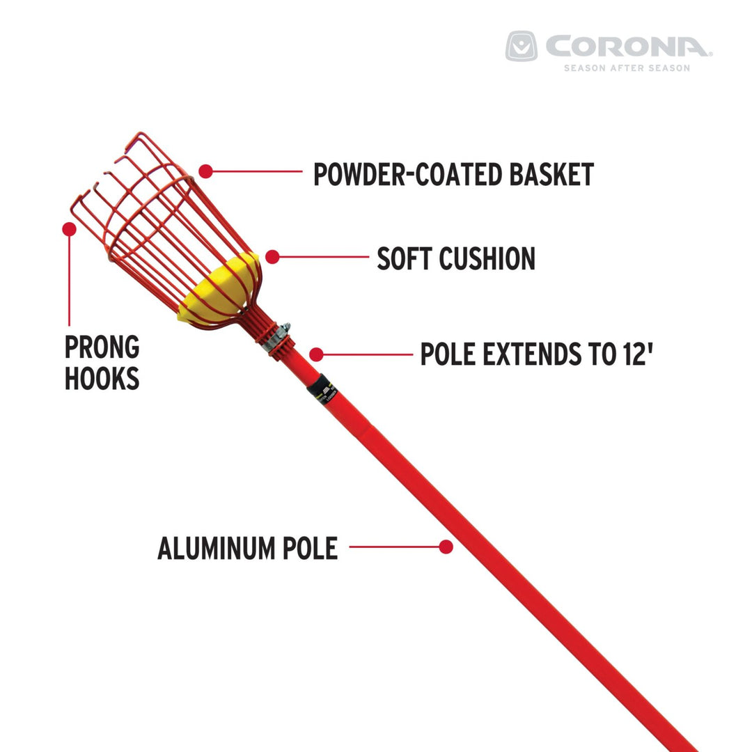 Corona FP 2312 Extendable Fruit Picker, 12 ft.