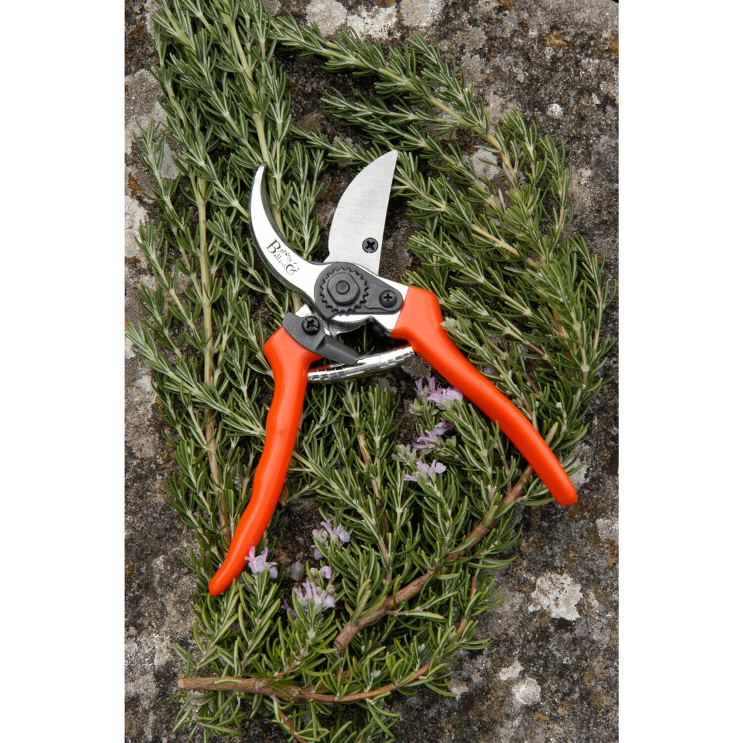 Corona GTO/SC Bypass Pruner, with Replacement Blade & Spring, RHS Endorsed