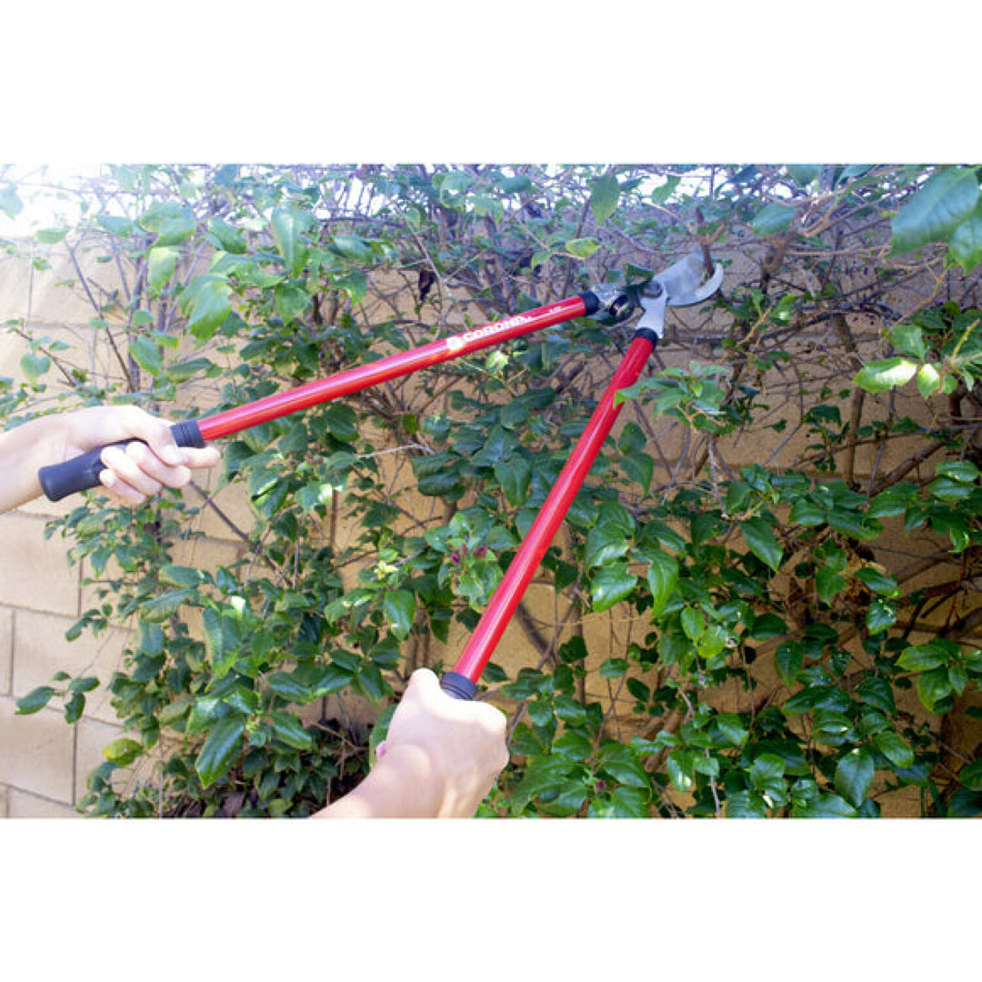 CRNA-SP10001 · Lopper + Pruner Bonus Pack