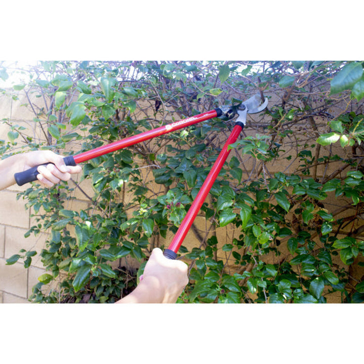CRNA-SP10001 · Lopper + Pruner Bonus Pack