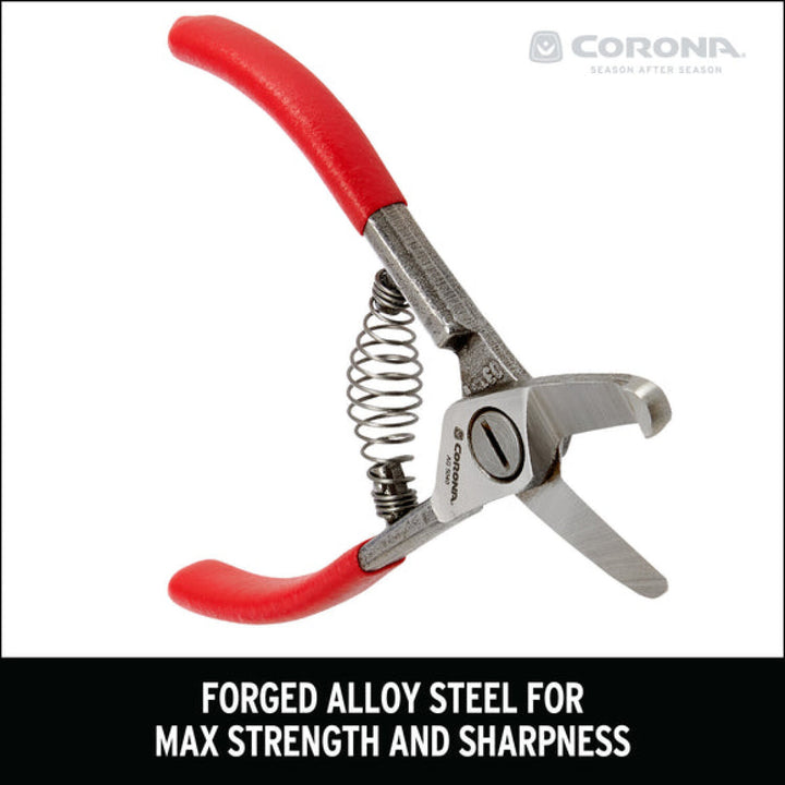 Corona AG 5040  Avocado Shears