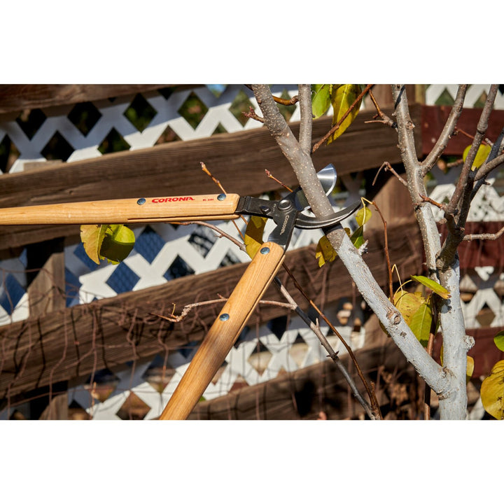 Corona WL 3351 Wooden Handle Bypass Lopper, 26 in. 1-1/2 in. Cut Capacity