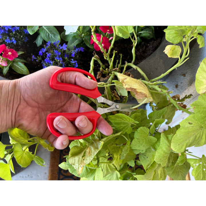 Corona FS 4130  Hydroponic Scissors
