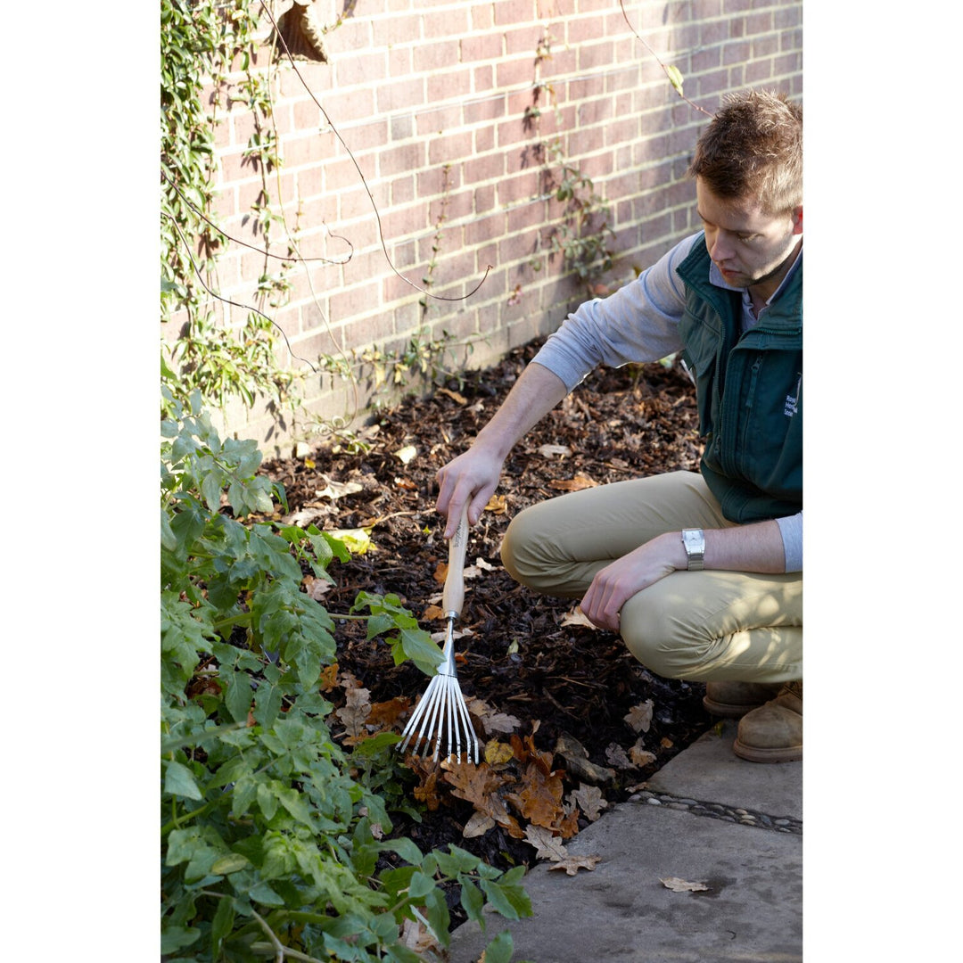 Corona GTH/SSRMHRHS Mid-Handled Stainless Steel Shrub Rake, Wood Grip, RHS Endorsed