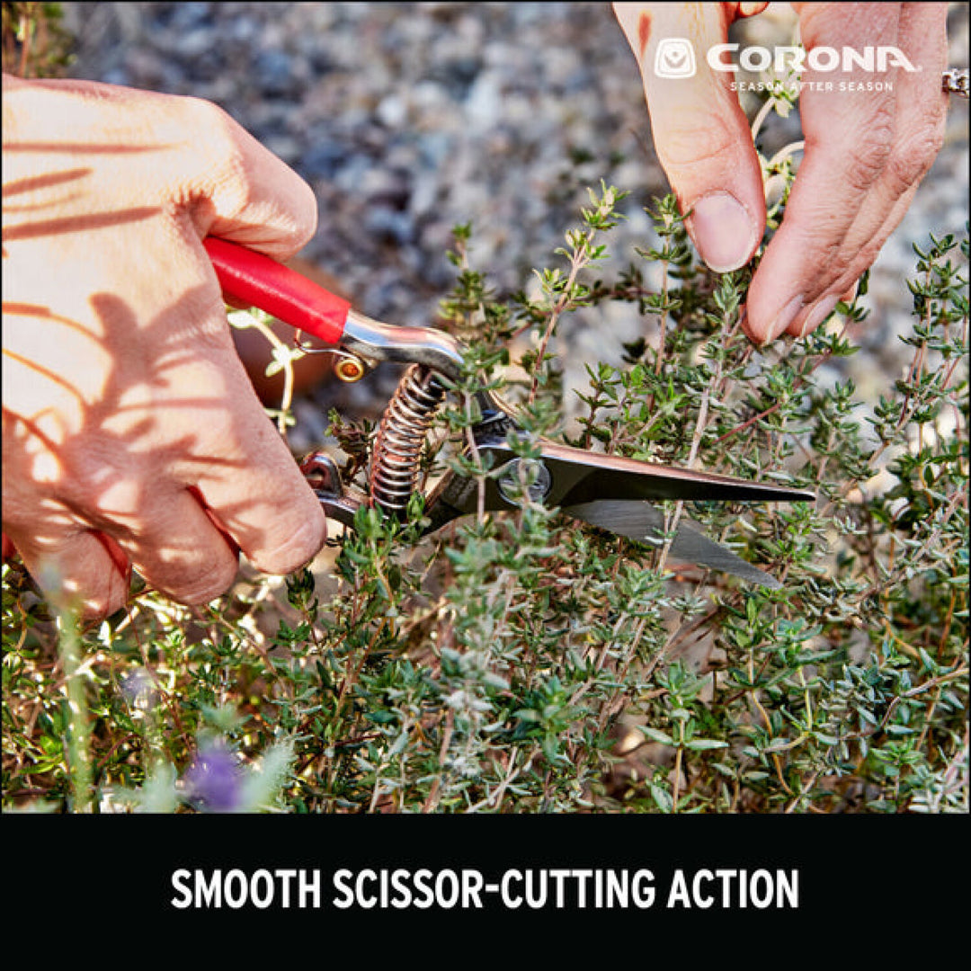 Corona FS 4350  Thinning Shears
