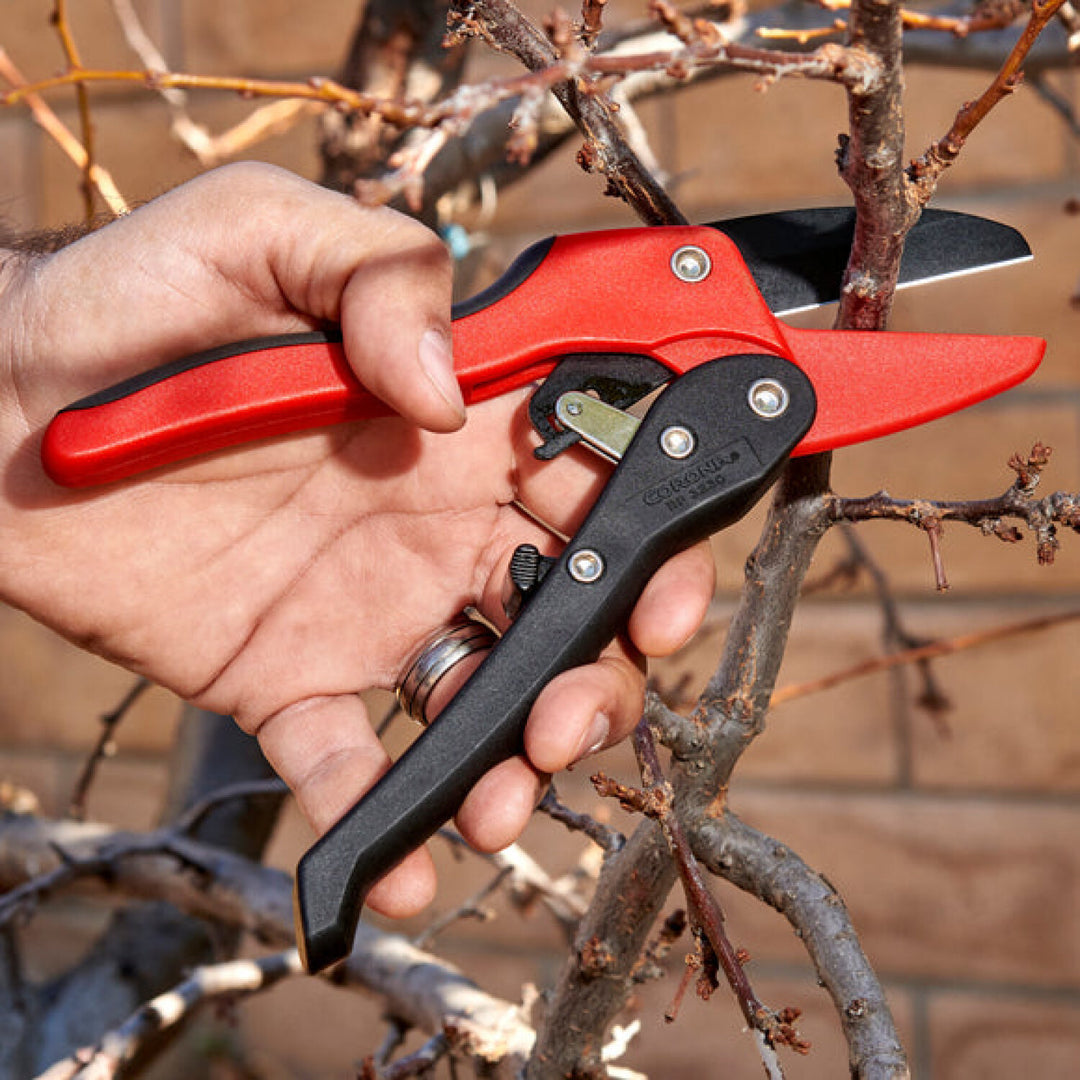 CRNA-RP 3230 · Ratchet Pruner - 3/4 Inch
