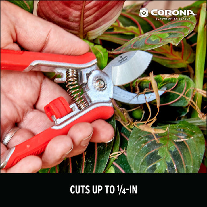 CRNA-BP13624 · Mini House Plant Pruner