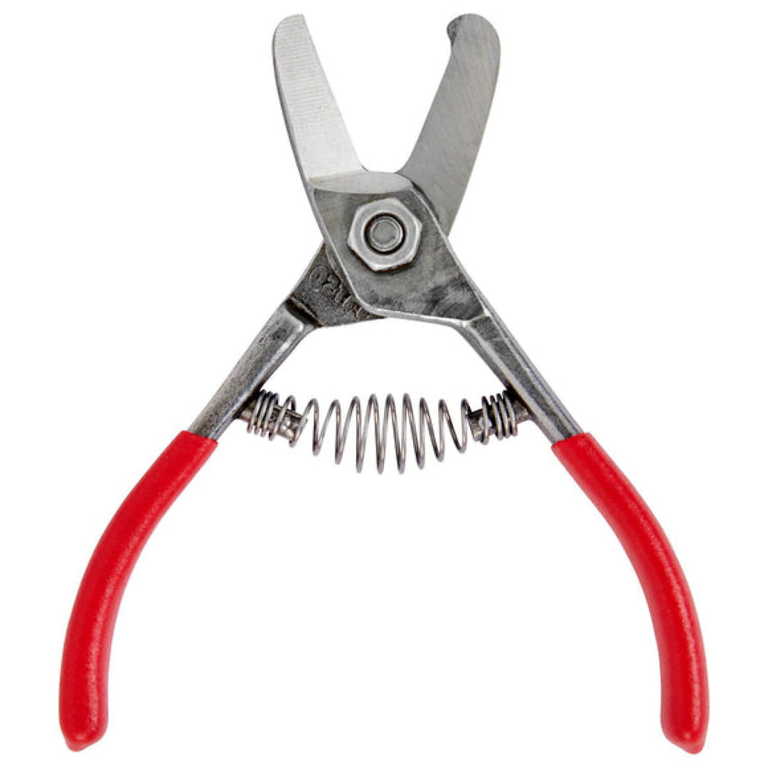 Corona AG 5040  Avocado Shears