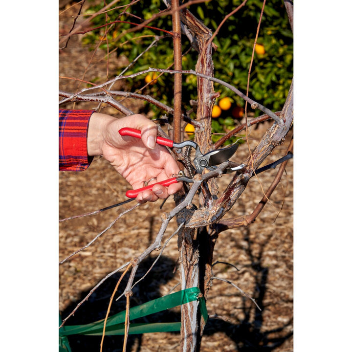 CORONA-BP 3130 · ClassicCUT Bypass Pruner - 1/2 Inch