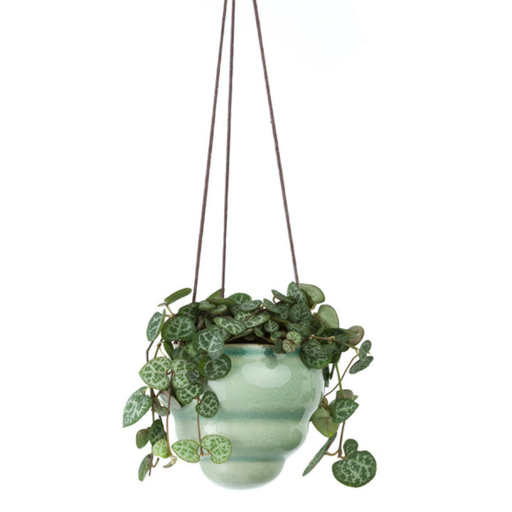 Corona-GIG/HBOMTRIO · Burgon & Ball® Baby Bombini Trio Vases