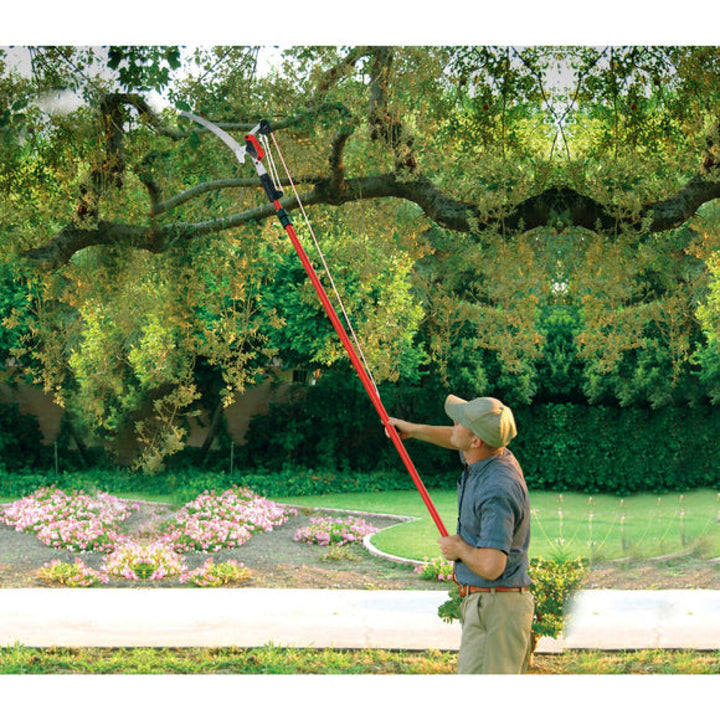 Corona TP 4214 DualLink Tree Saw and Pruner- 14 ft