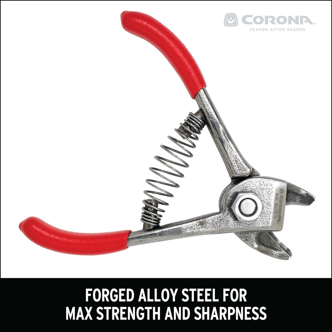Corona AG 5060 Orange and Apple Bypass Shears