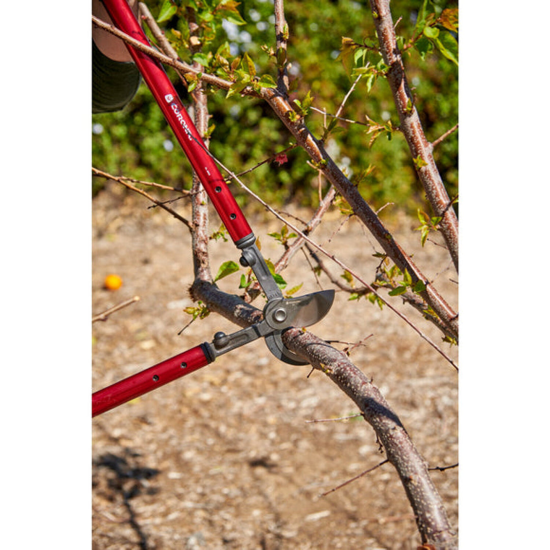 Corona AL 6512 High-Torque Bypass Lopper - 26 Inch