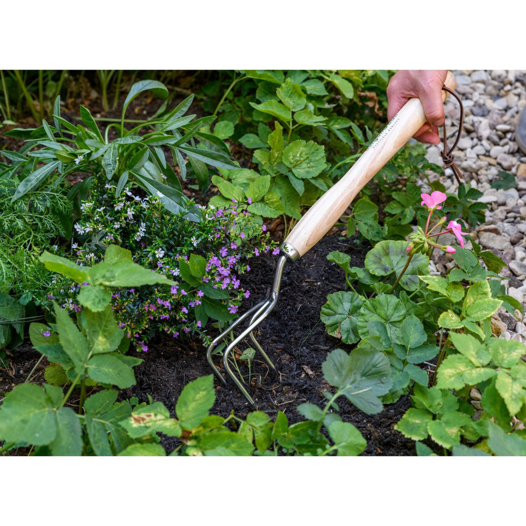 Corona GTH/SCCMHRHS Mid-Handled Stainless Steel Claw Cultivator, Wood Grip, RHS Endorsed