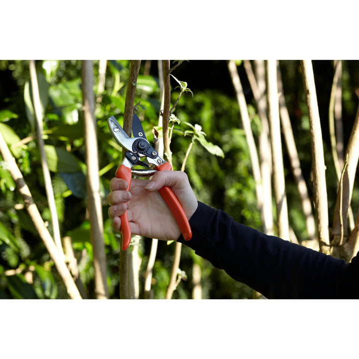 Corona GTO/SC Bypass Pruner, with Replacement Blade & Spring, RHS Endorsed