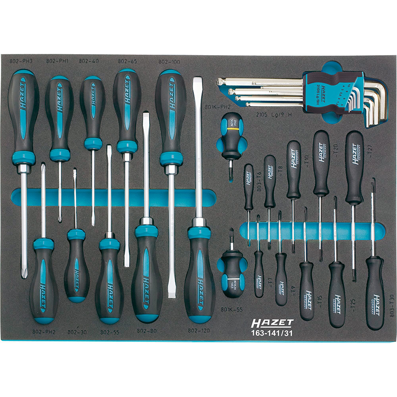 Hazet 163-141/31 Screwdriver Set, 31 Pieces – Haus of Tools