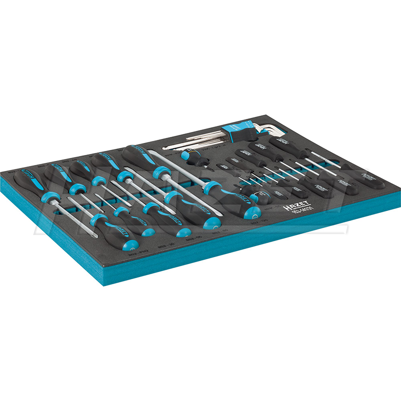 Hazet 163-141/31 Screwdriver Set, 31 Pieces – Haus of Tools Hazet 163-141/31 Screwdriver Set, 31 Pieces – Haus of Tools