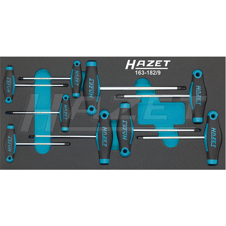 Hazet 163-182/9 Screwdriver Set with T-handle, 9 Pieces