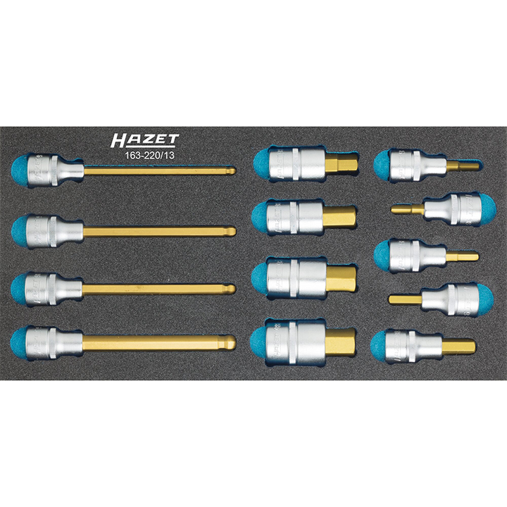 Hazet 163-220/13 Hex Screwdriver Socket Set, 1/2" Drive, 13 Pieces