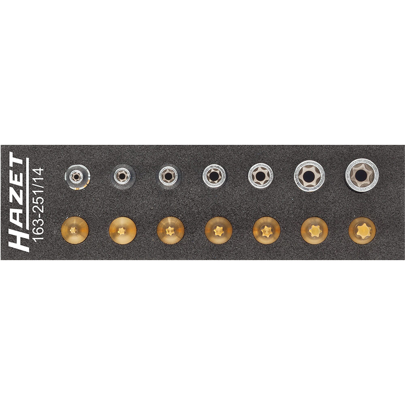 Hazet 163-251/14 TORX® Tool Set, 14 Pieces – Haus of Tools Hazet 163-251/14 TORX® Tool Set, 14 Pieces – Haus of Tools