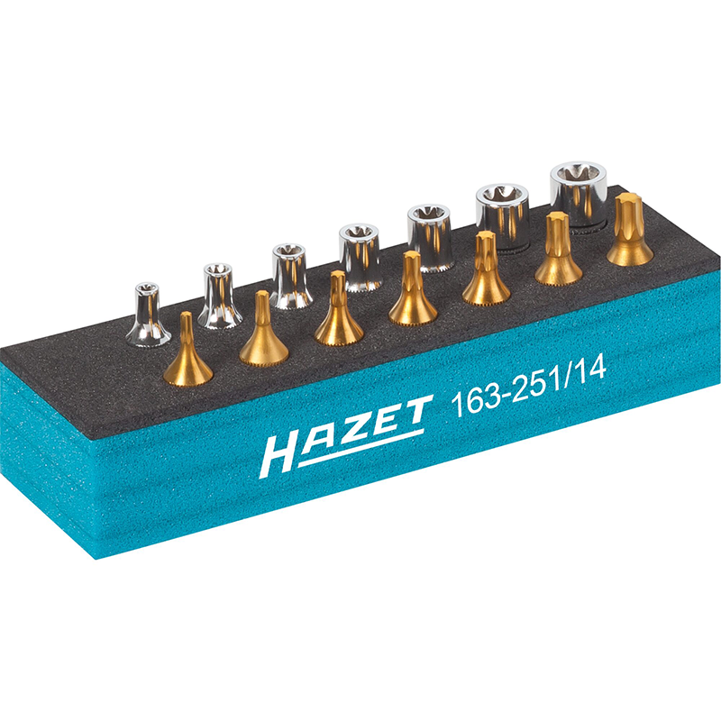 Hazet 163-251/14 TORX® Tool Set, 14 Pieces