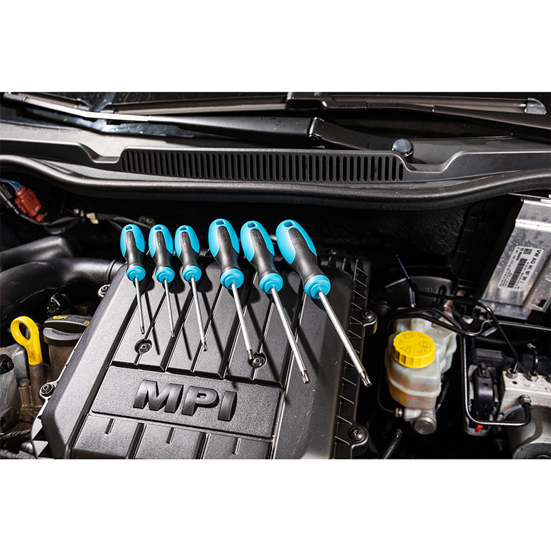 Hazet 163-266/6 TORX® Screwdriver Set, 6 Pieces