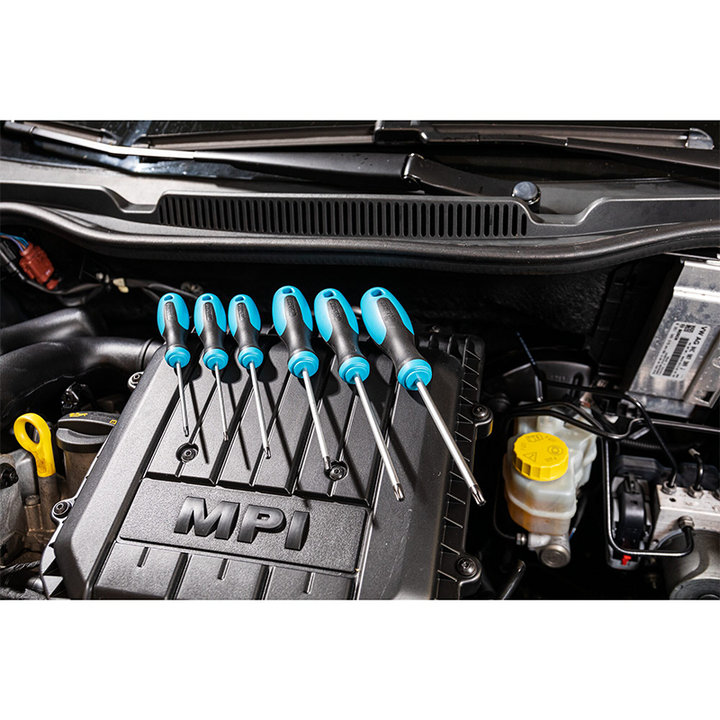 Hazet 163-266/6 TORX® Screwdriver Set, 6 Pieces