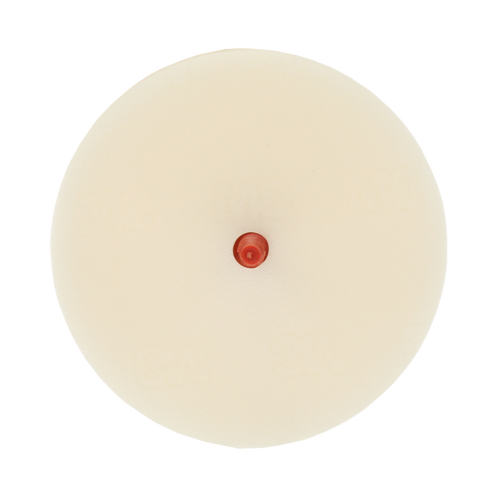 Scotch-Brite Molding Adhesive and Stripe Removal Disc, 07502, 6 in x
3/8 in