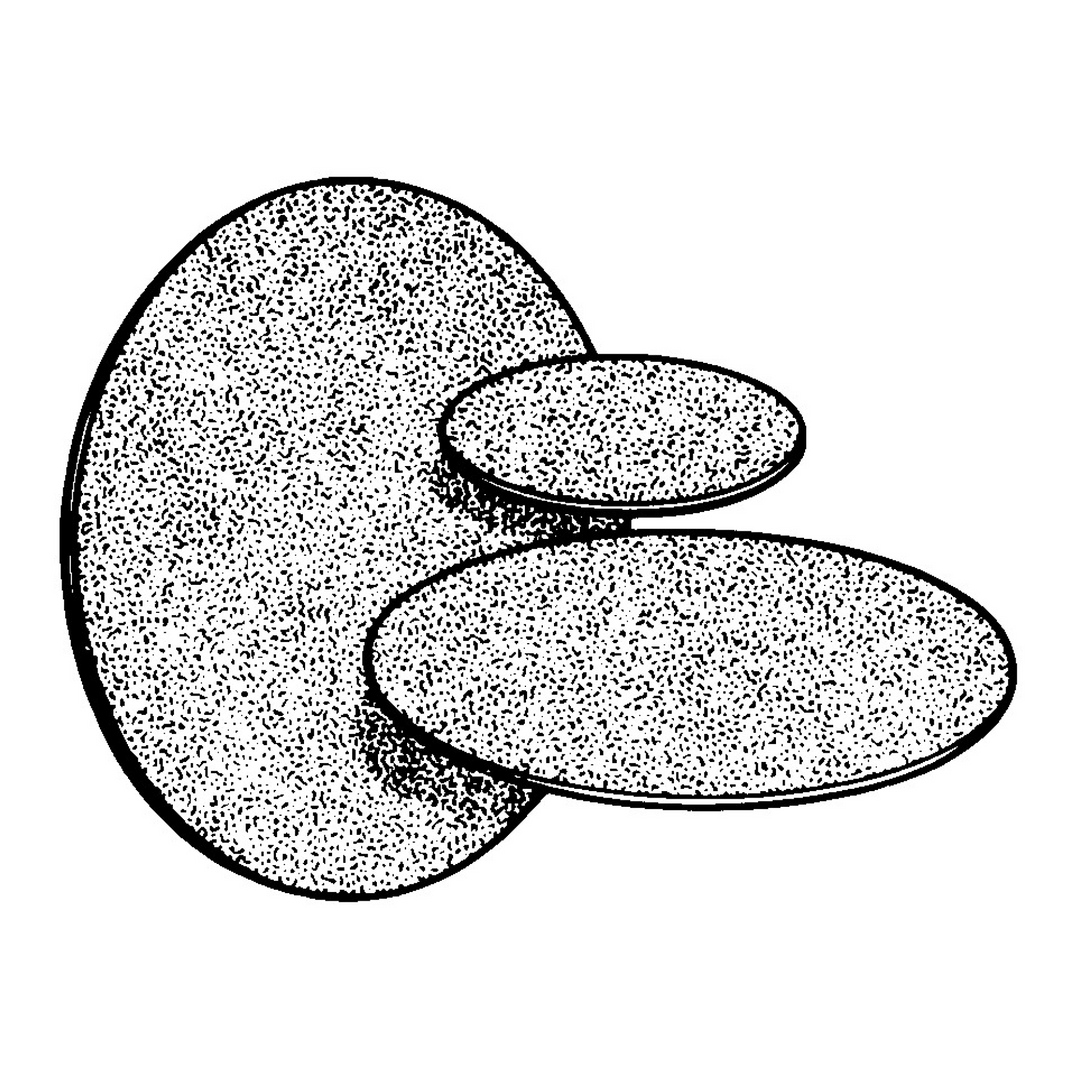 3M Wetordry Paper Disc 431Q, 600 C-weight, 12 in x NH, Die 1200B,
50/Carton