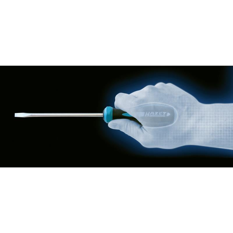 Hazet 802-80 HEXAnamic Screwdriver, Slotted, 1.2x8mm – Haus of Tools