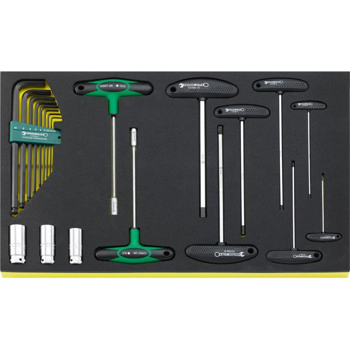 Stahlwille 97830606 2501N TCS Workshop set for BMW motorbikes